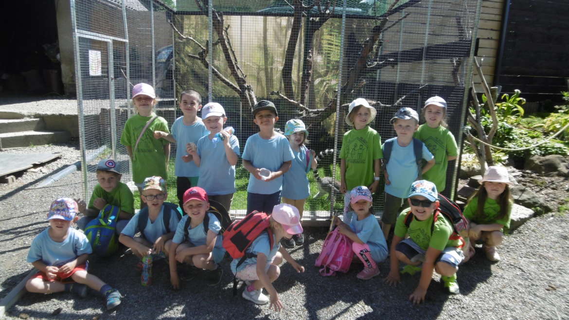 VÝLET ZA ZVÍŘÁTKY DO MINI ZOO