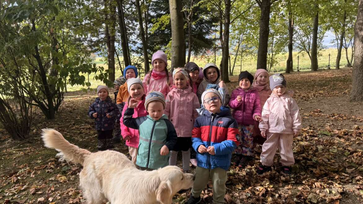 KOUZELNÝ SVĚT OVOCE A ZELENINY 🍎🥕